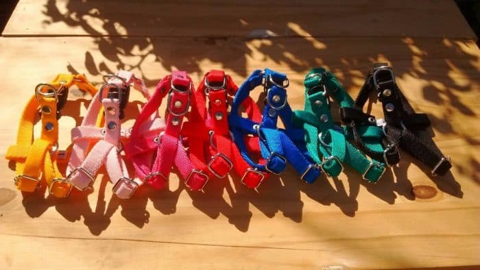 caracteristicas de los collares para perros