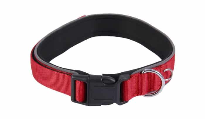 collar acolchado para perros technical pet