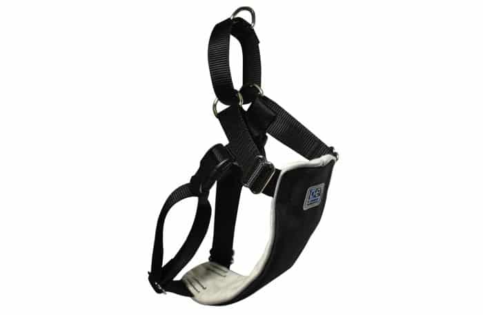 collar anti tirones para perros