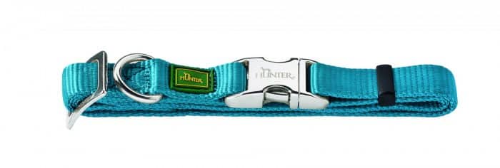 collar barato para perros