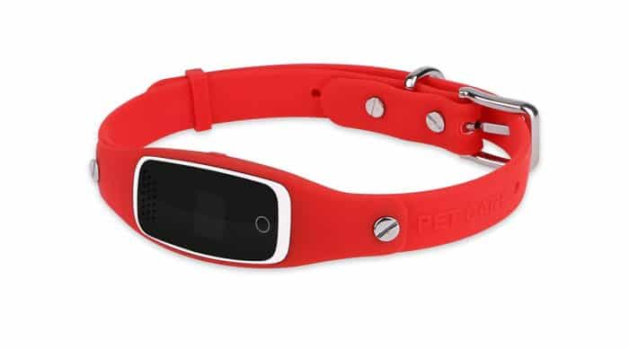 collar con gps para perros