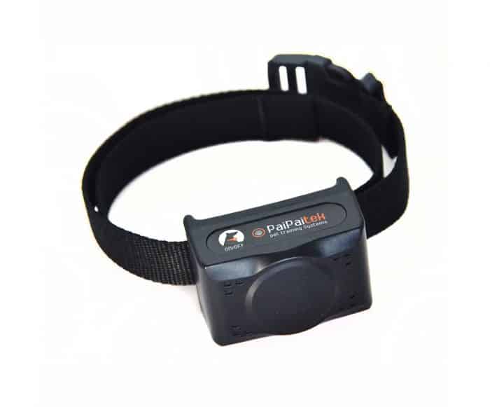 collar de adiestramiento para perros