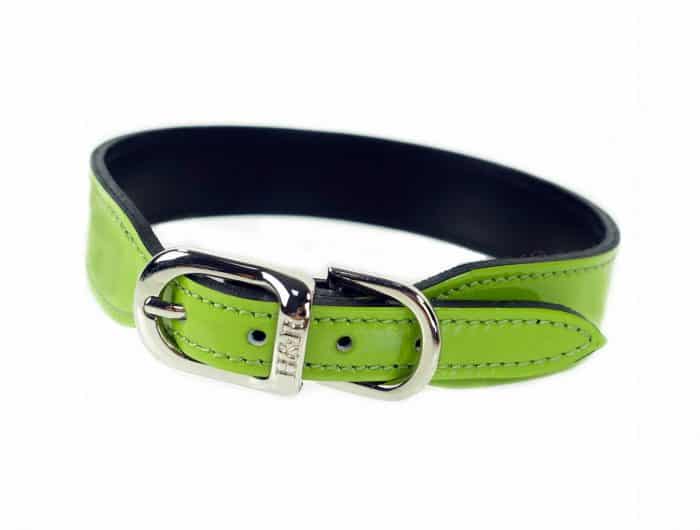 collar de hebilla para perros