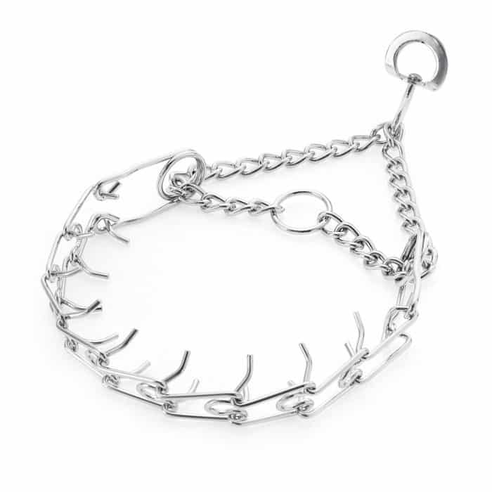 collar de puas para perro
