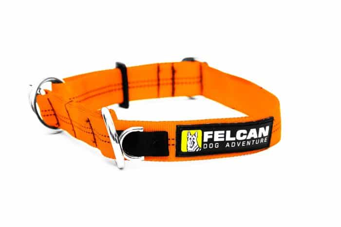 collar de semi ahorque para perros