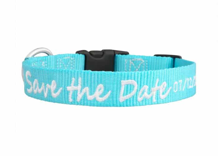 collar para cachorros