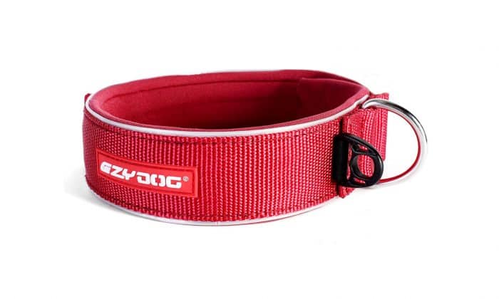 collar para perro ezydog