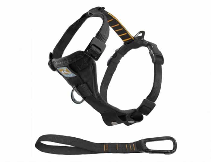 collar para perros guia