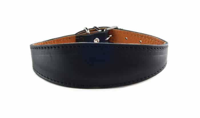 collar para perros pequeños