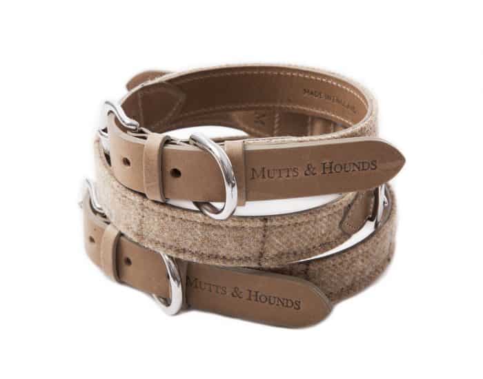 collares de cuero o piel para perros