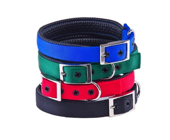 collares de nylon o nailon para perros