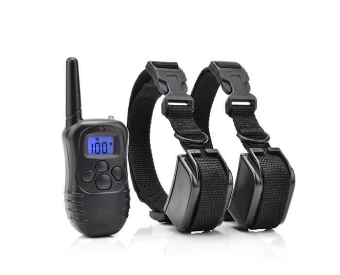 collares electricos para perros