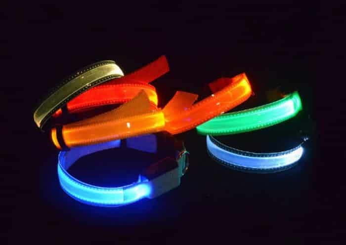 collares led para perros