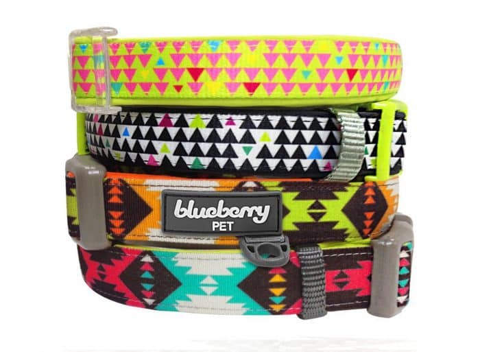 collares originales para perros