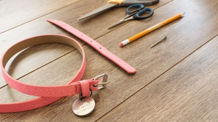como hacer collares para perros