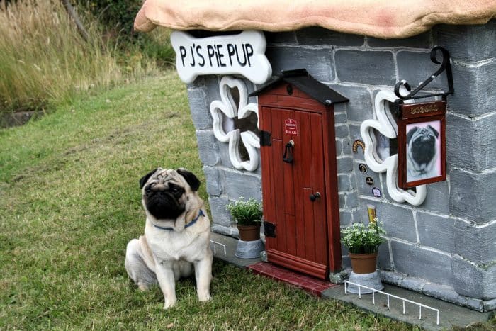 como decorar una caseta de perro