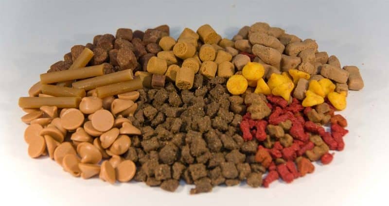 comida seca para perros