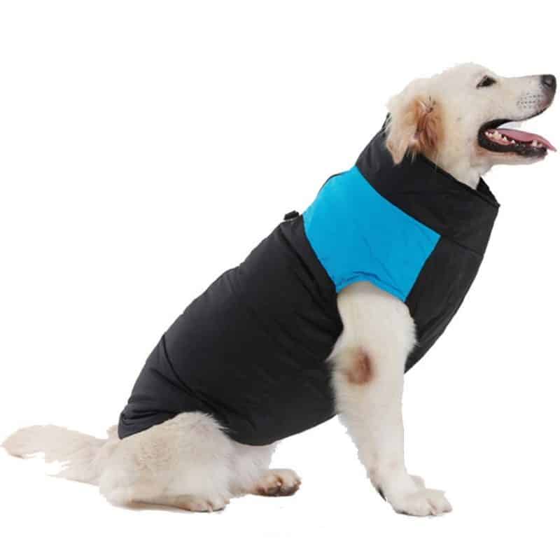 abrigos para perros