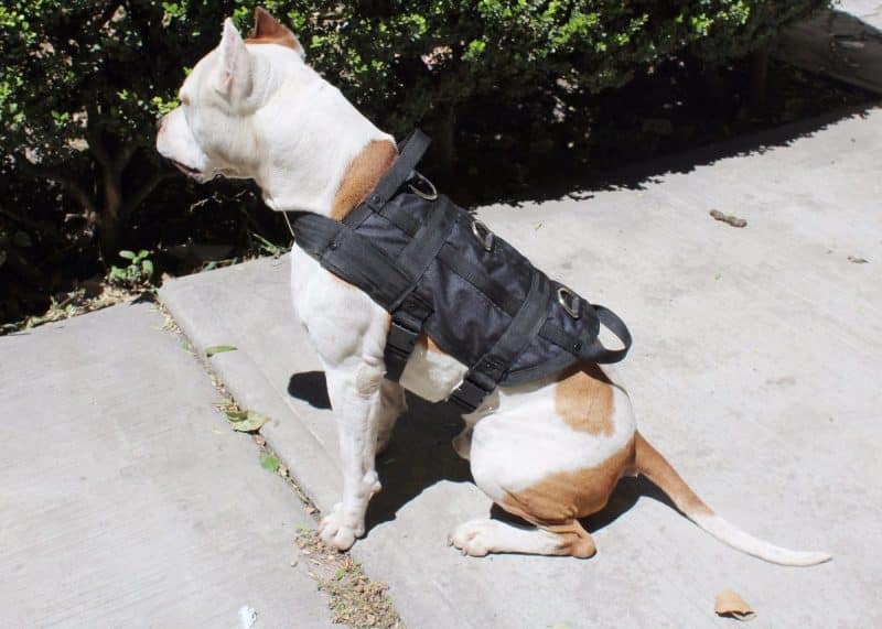 abrigos tipo chaleco para perros