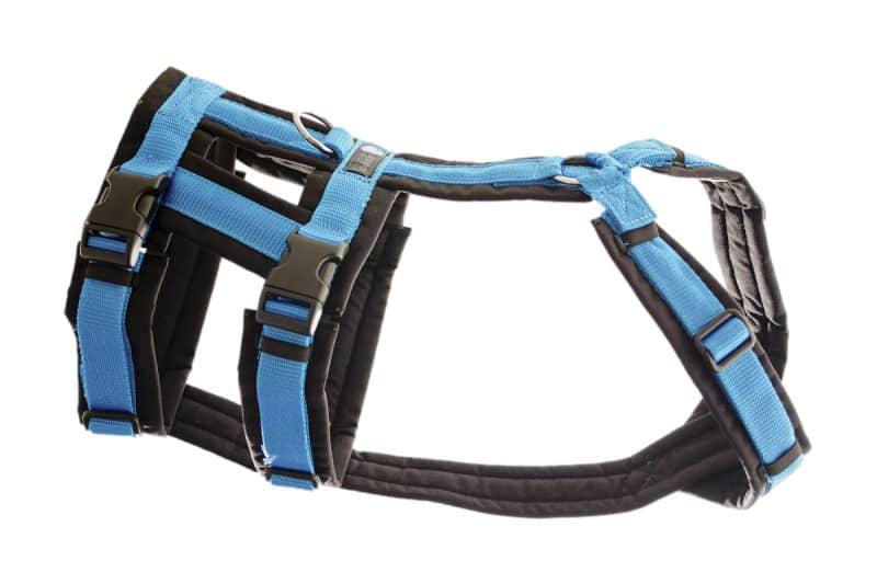 arnés de seguridad para perros