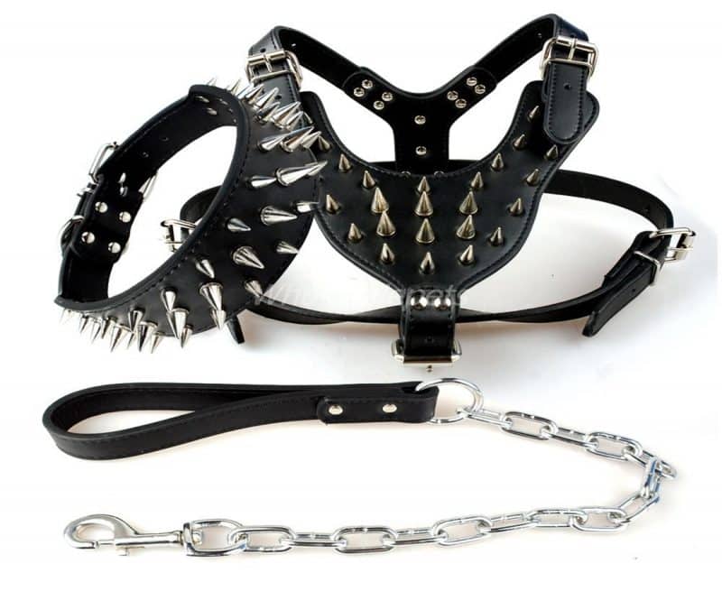 arnes o collar para perros