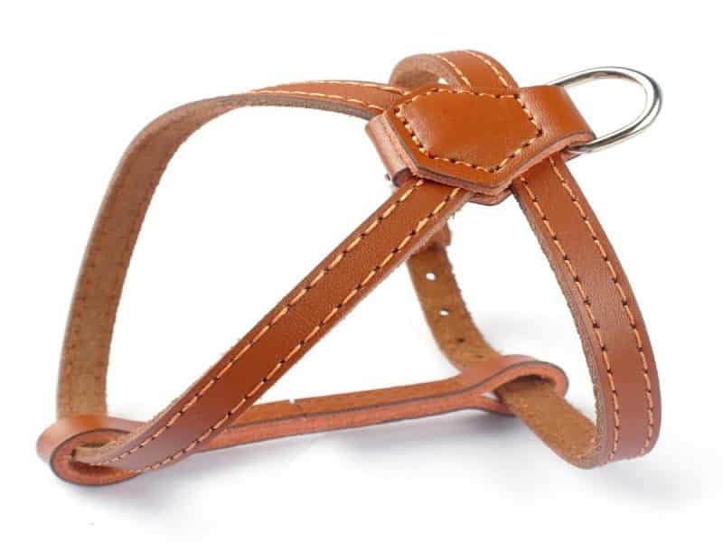 arnes para perros de cuero