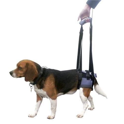 arnes para perros patas traseras