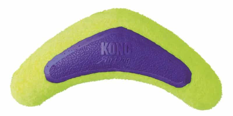 boomerang para perros