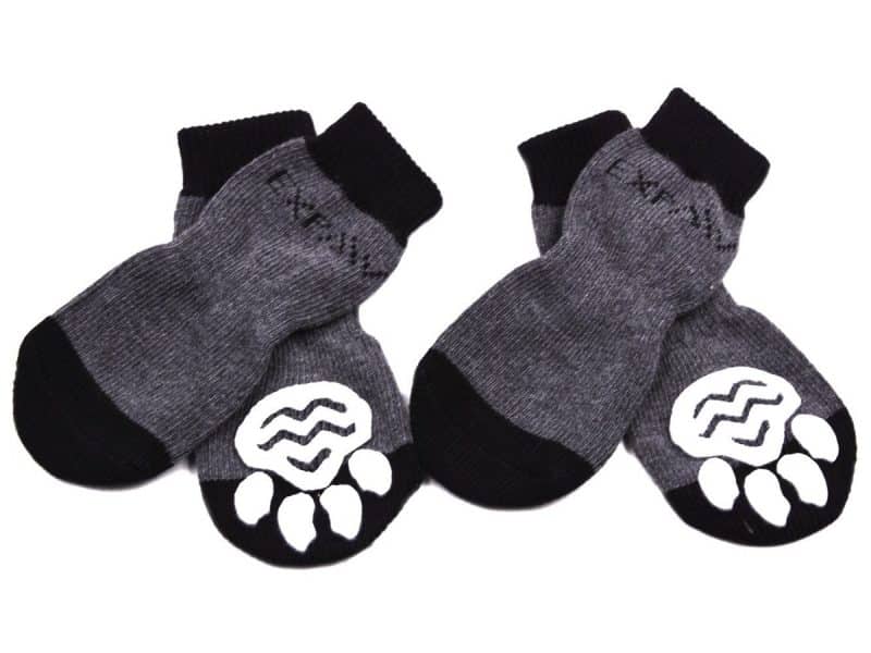 calcetines para perros