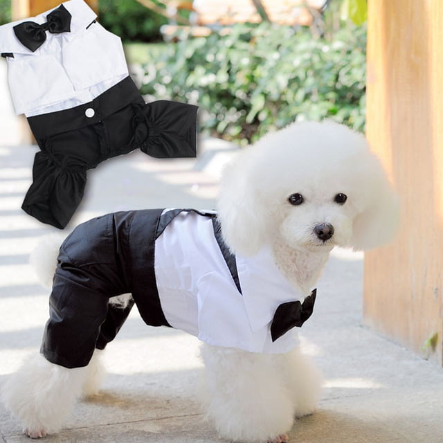 camisetas ejecutivas para perros