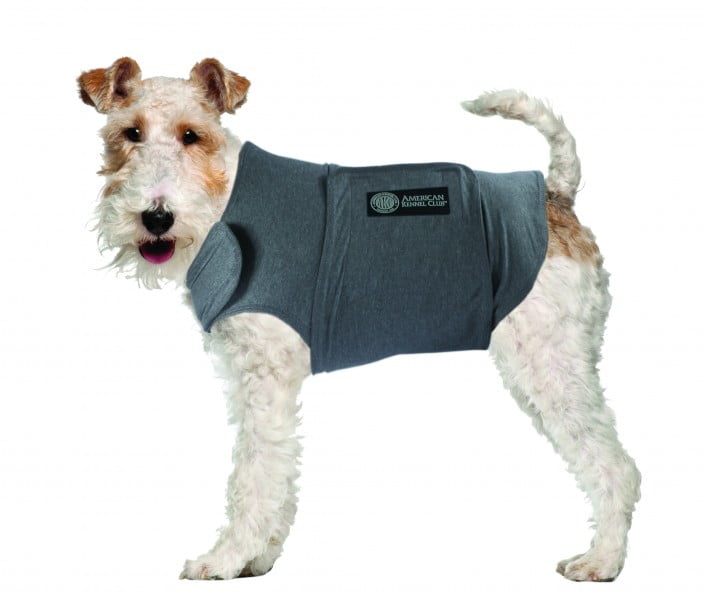 camisetas refrescantes para perros