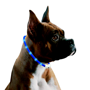 collares para perros