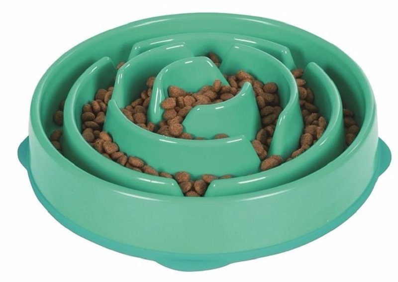 comederos para perros ansiosos