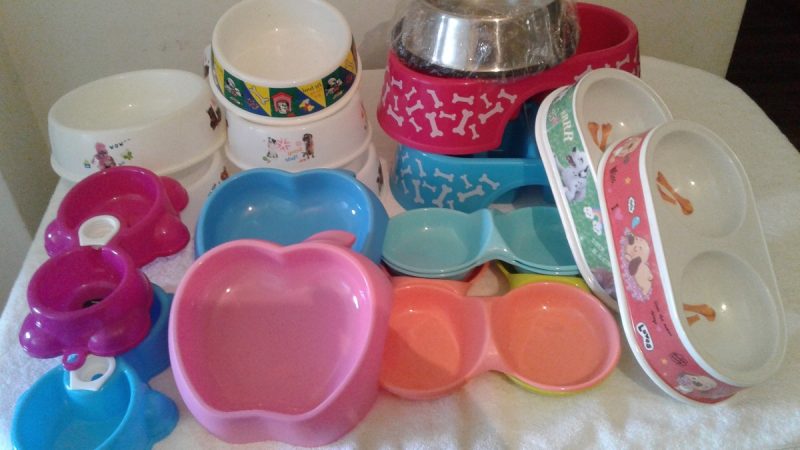 comederos para perros baratos