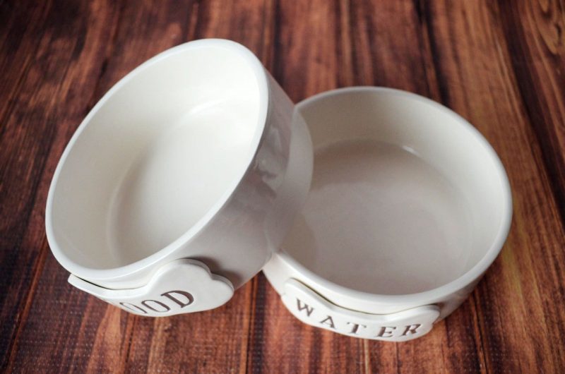 comederos para perros de cerámica blancos