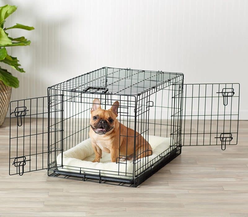 cómo acondicionar una jaula para perros