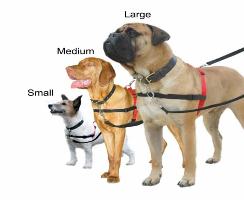 comprar un arnés para perros