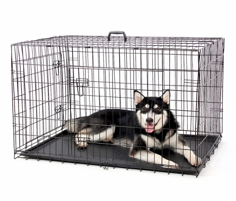 consejos para acondicionar una jaula para perros