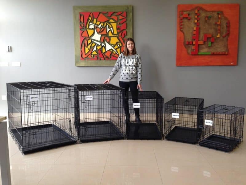 consideraciones al comprar una jaula para perros
