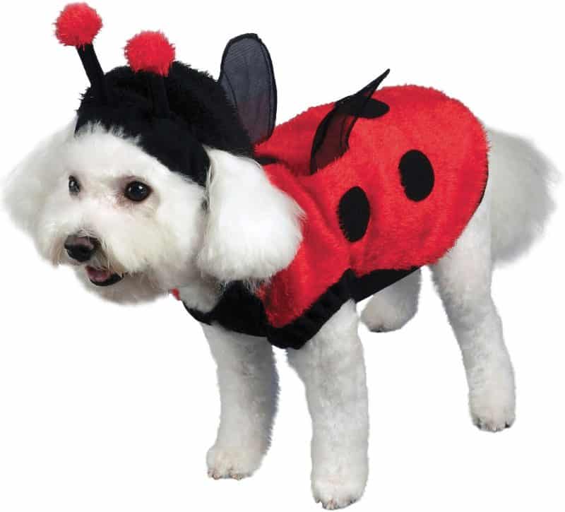 disfraz de coquito para perros
