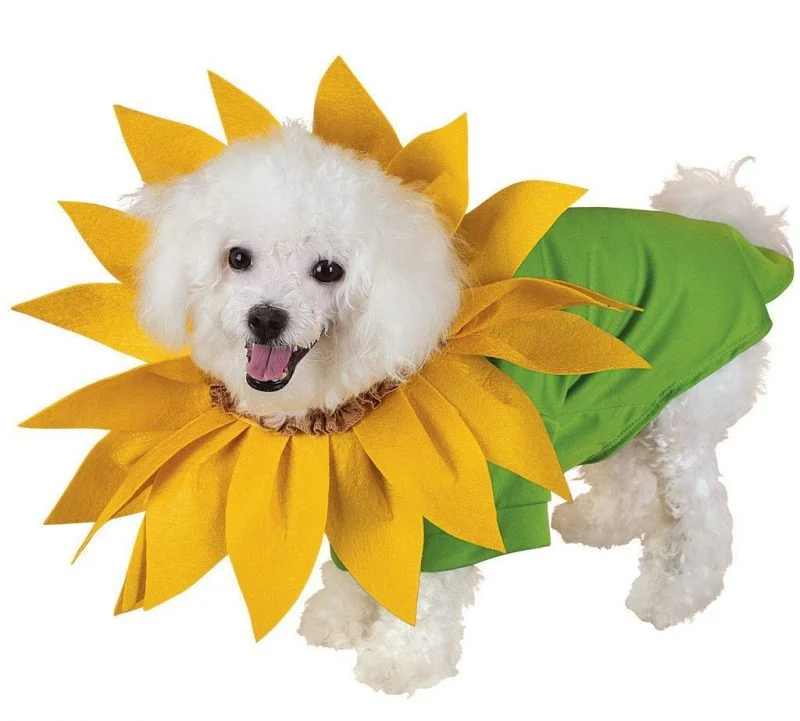 disfraz de flor para perros