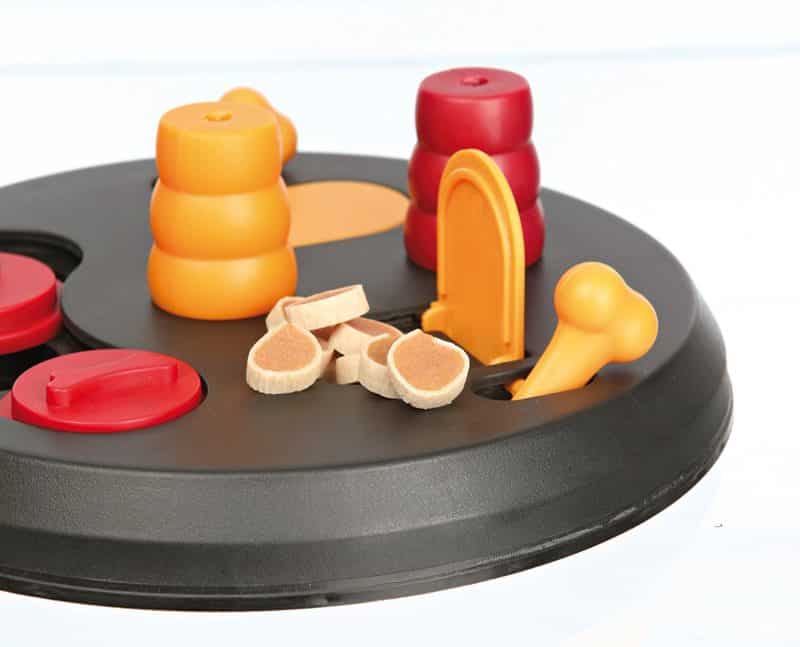 dog activity turn around