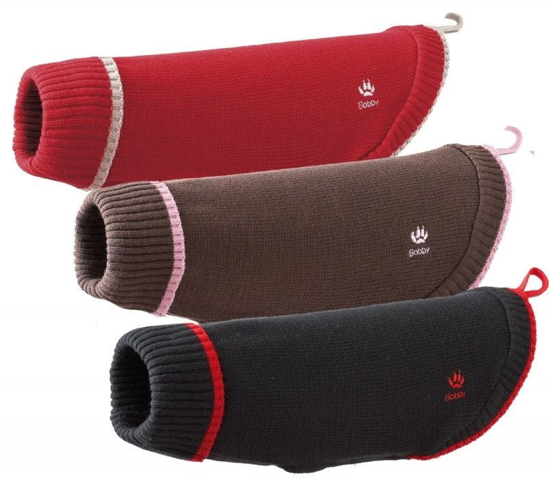 jersey para perros
