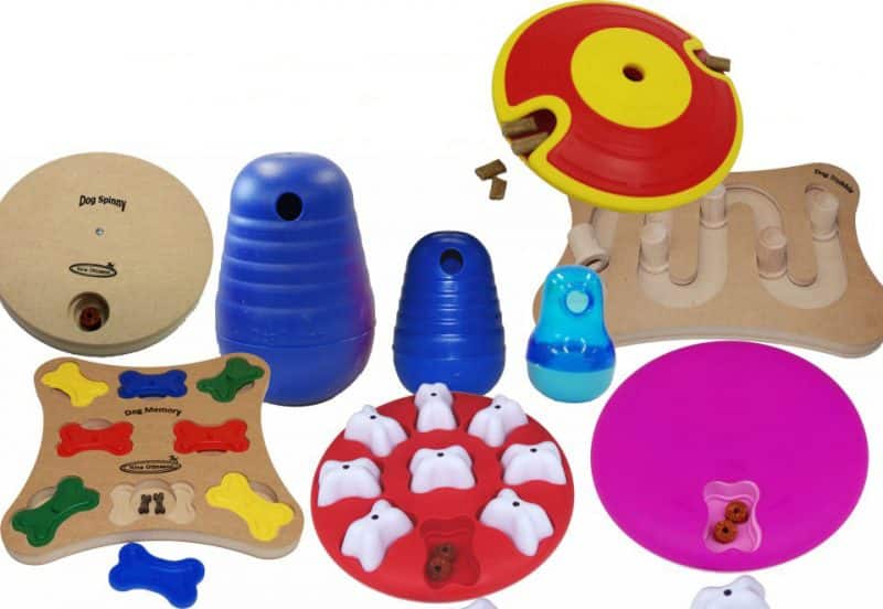 tipos de juguetes para perros