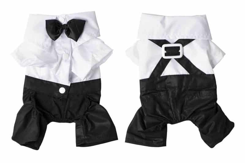 trajes formales para perros