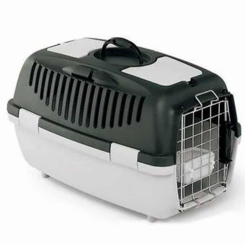 transportines para perros rigidos