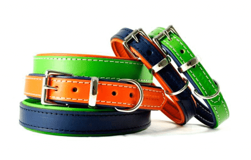 tipos de collares para perros