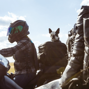 mejores bolsos para transportar perros en moto